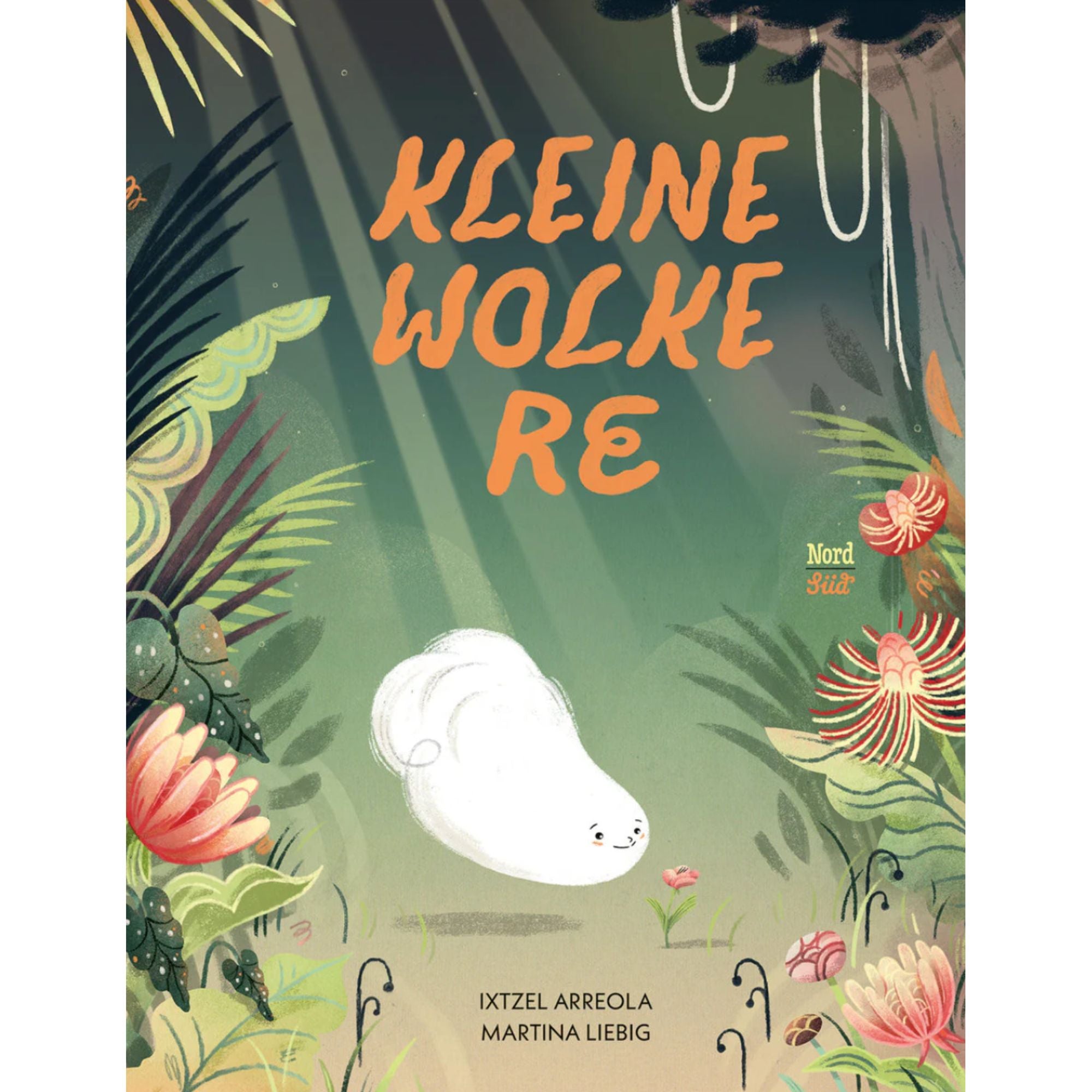 Kleine Wolke Re