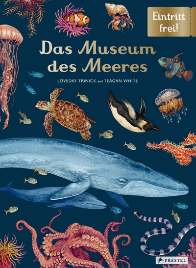 Das Museum des Meeres