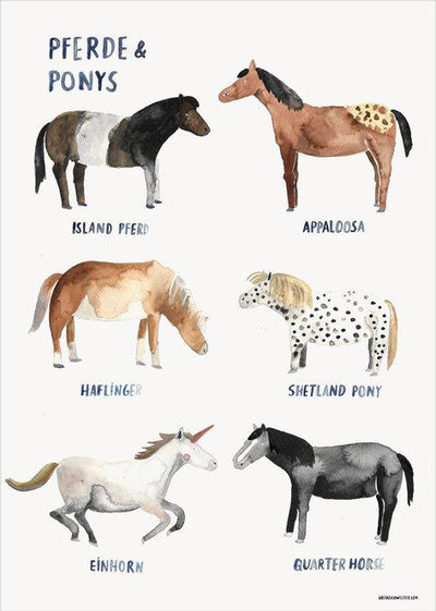 Poster 'Pferde & Ponys'
